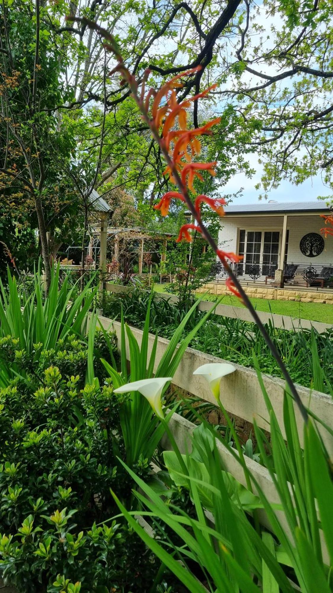 Hahndorf House B&B מראה חיצוני תמונה