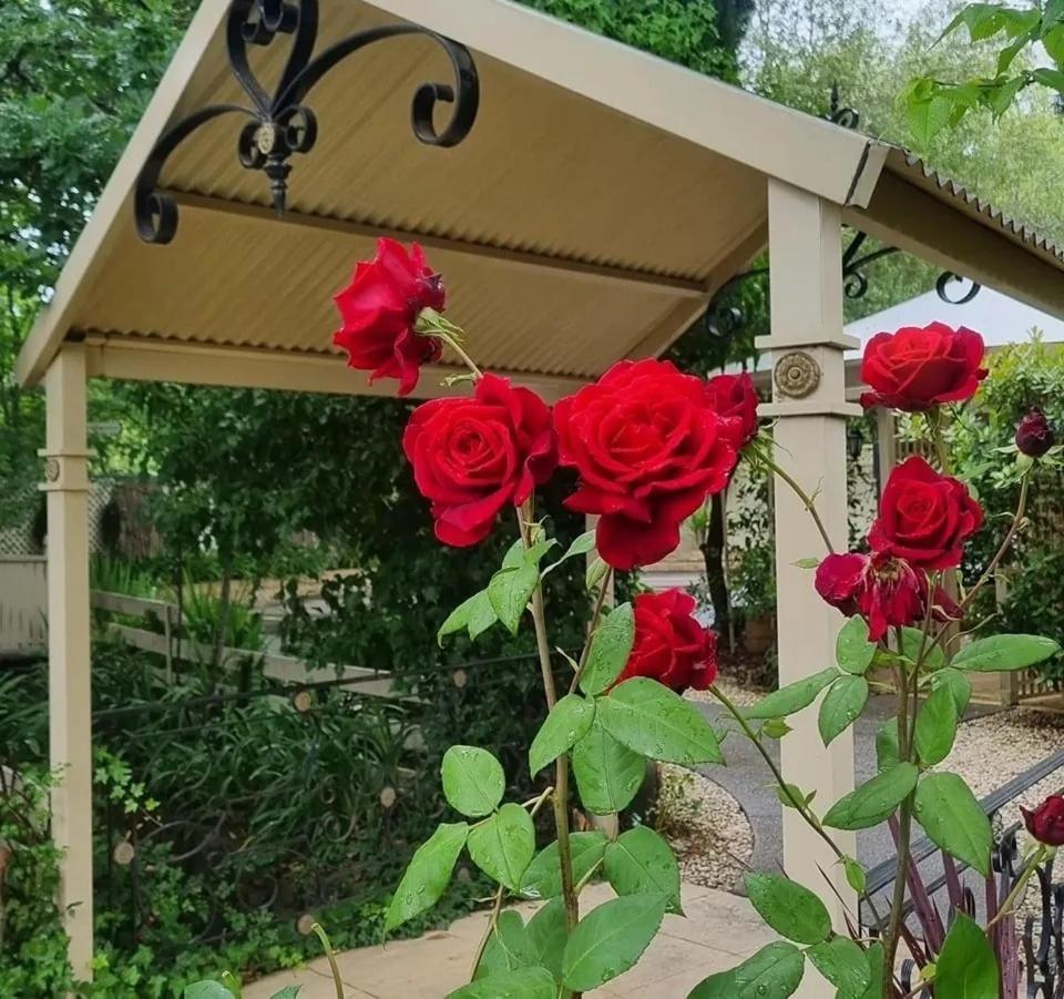 Hahndorf House B&B מראה חיצוני תמונה